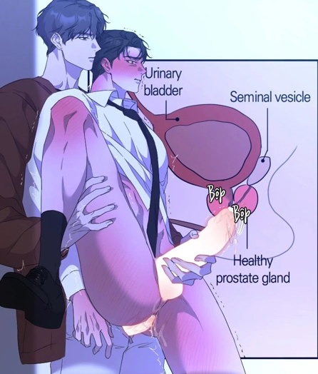 Luận Văn Cơ Thể Của Giáo Sư